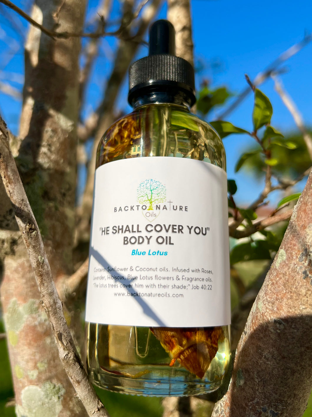 “He Shall Cover You” Body Oil 𝐵𝑙𝑢𝑒 𝐿𝑜𝑡𝑢𝑠